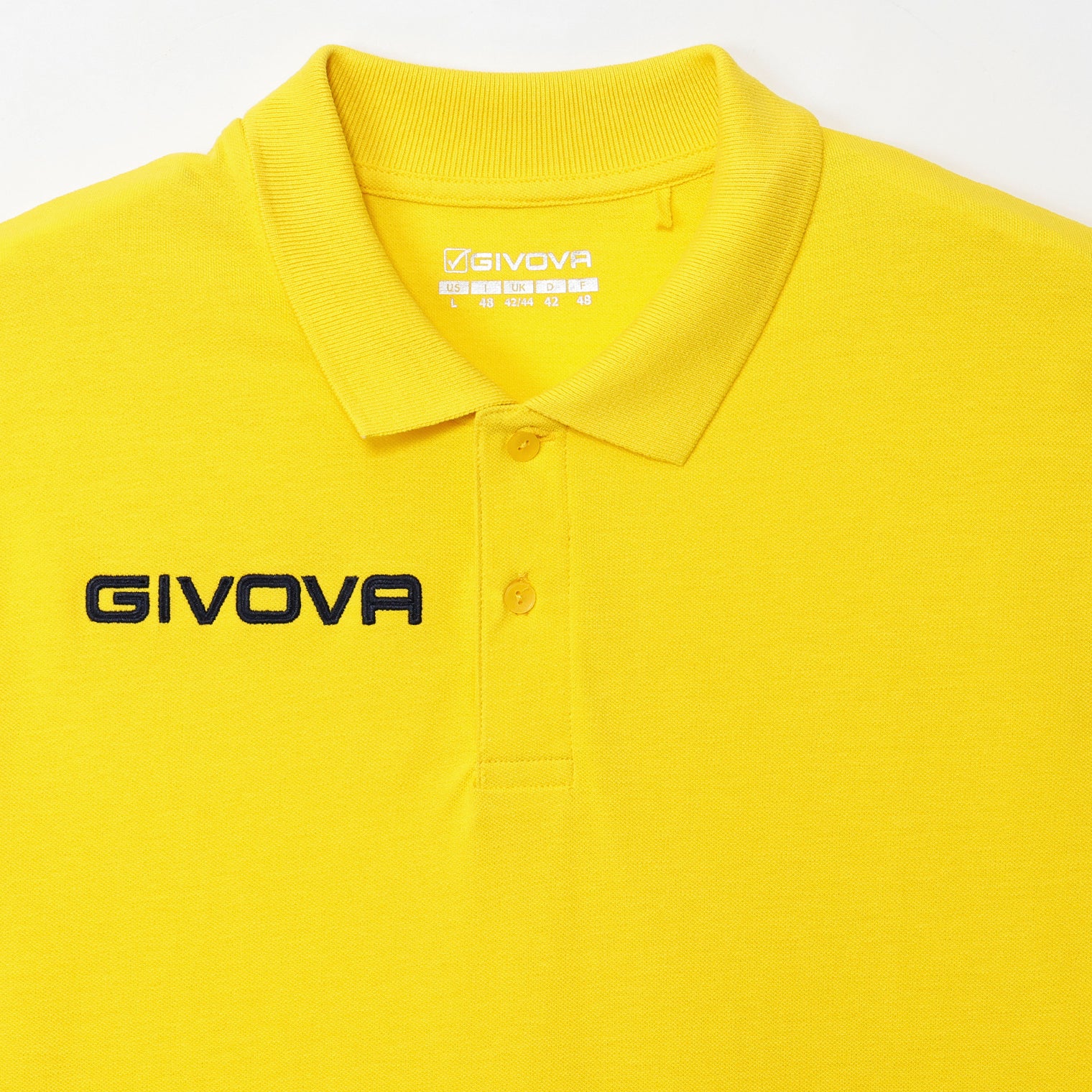 POLO SMR