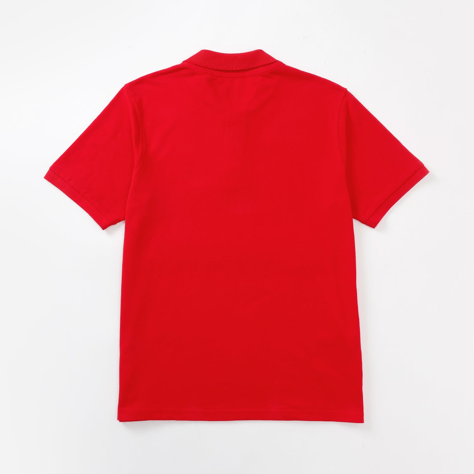 POLO SMR