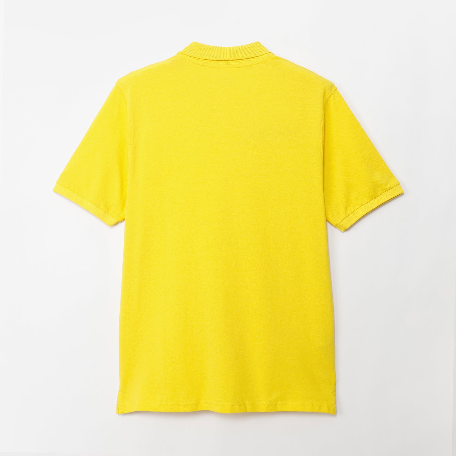 POLO SMR