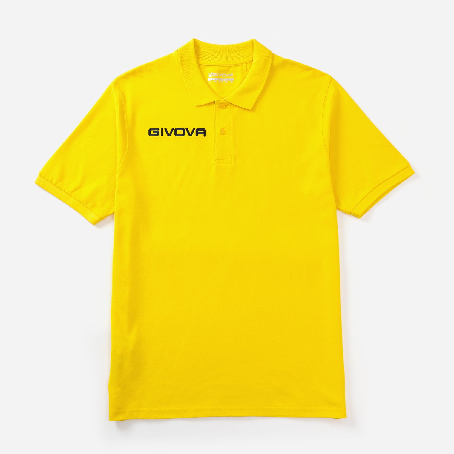 POLO SMR